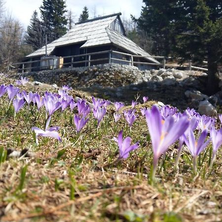 Chalet Pehta Velika Planina Stahovica Exterior foto
