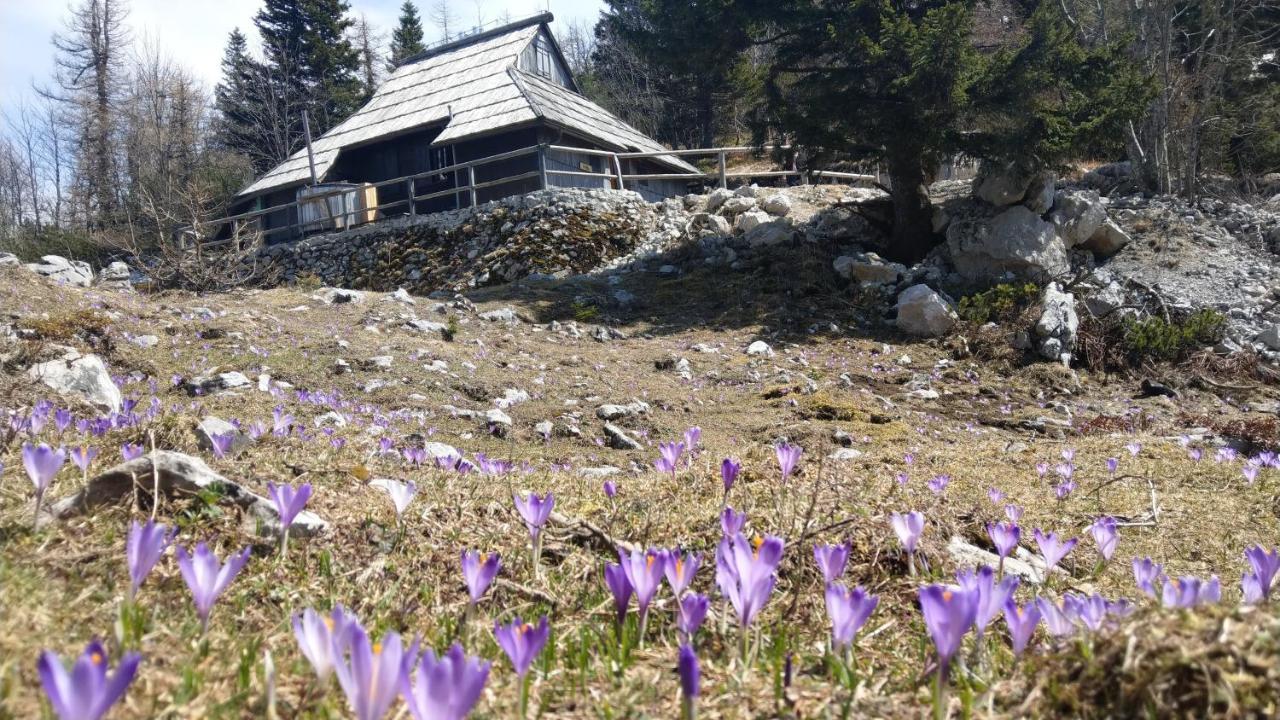 Chalet Pehta Velika Planina Stahovica Exterior foto