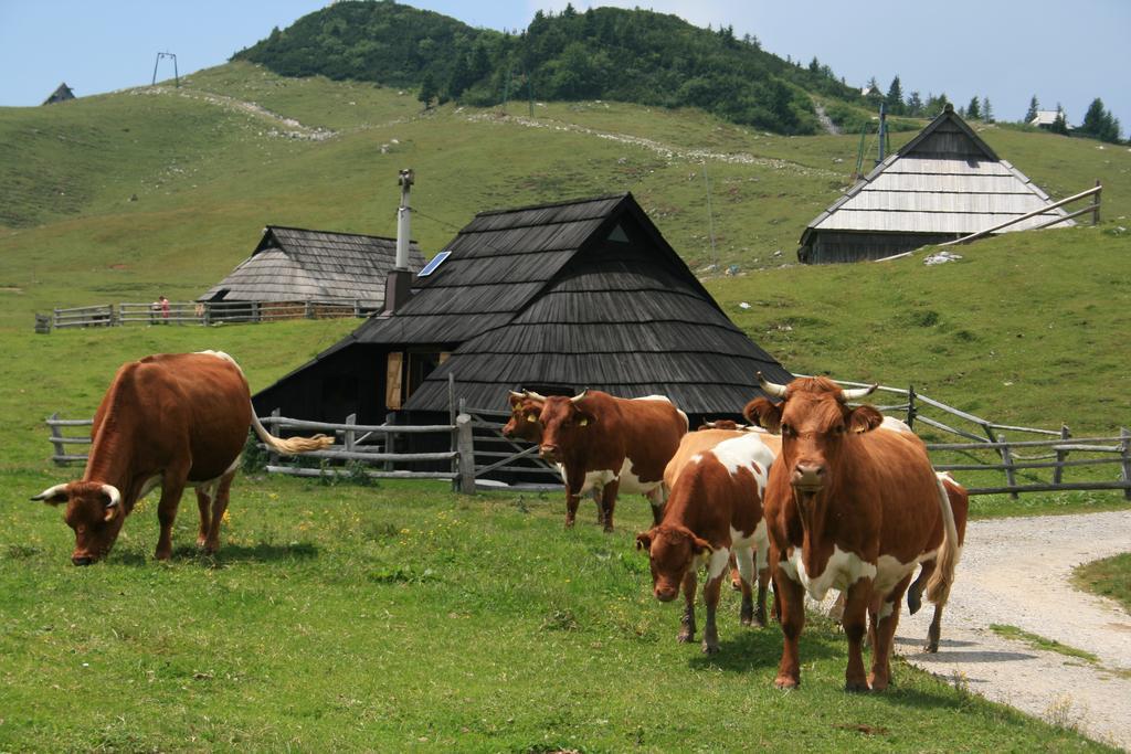 Chalet Pehta Velika Planina Stahovica Zimmer foto