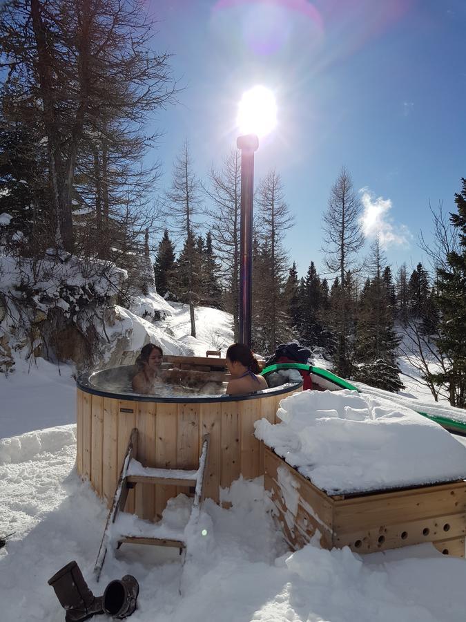 Chalet Pehta Velika Planina Stahovica Exterior foto