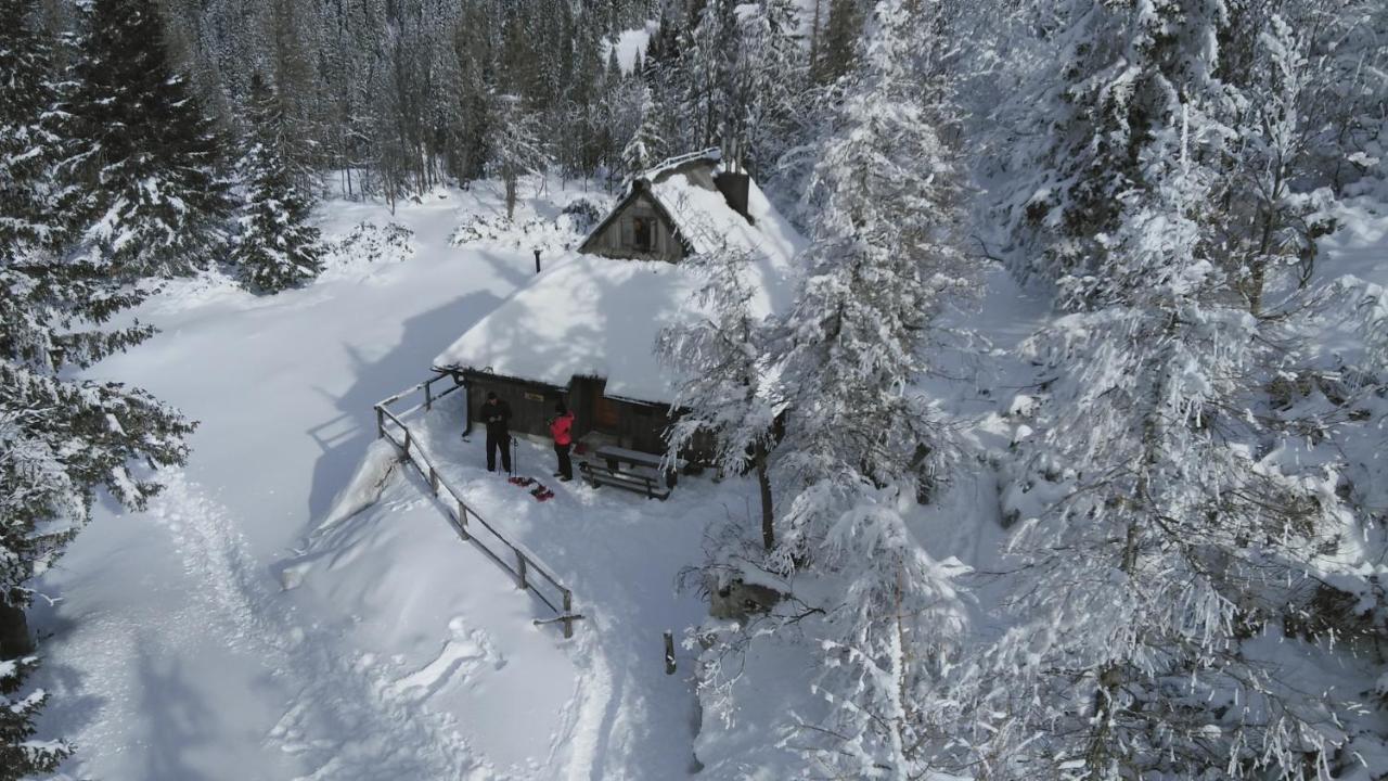Chalet Pehta Velika Planina Stahovica Exterior foto